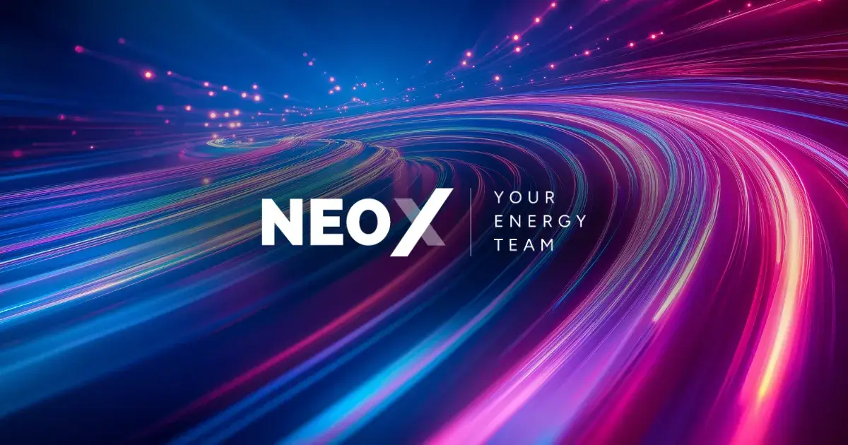 Neox Infinity NeoX – Piattaforma Digitale per la Gestione dell’Energia